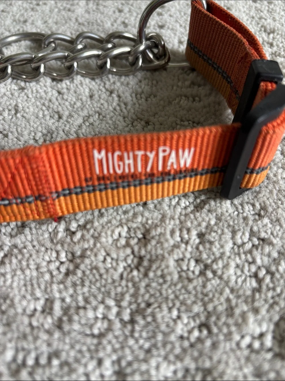 Orange Martingale Dog Collar with Chain